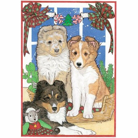 PIPSQUEAK PRODUCTIONS Sheltie Pups Christmas Boxed Cards -10PK PI392955